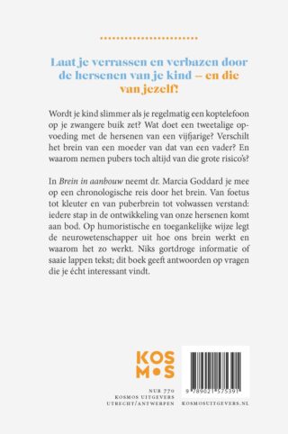 Brein in aanbouw - achterkant