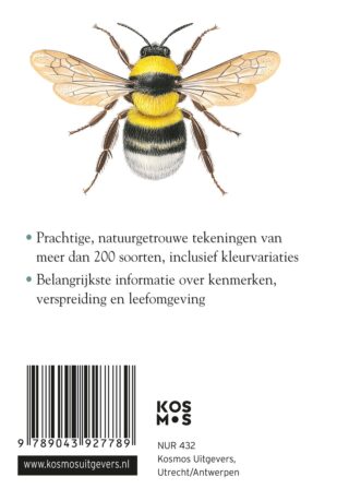 Compactgids Insecten - achterkant