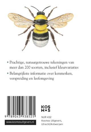 Compactgids Insecten - achterkant