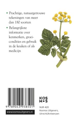 Compactgids Kruiden - achterkant